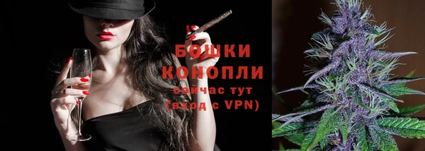 гидра Белоозёрский