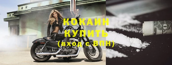 гидра Белоозёрский