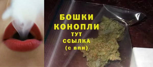 дурь Пестово