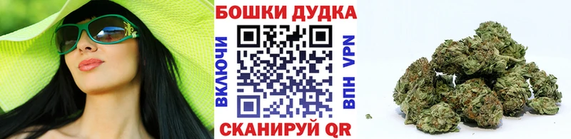 Конопля семена купить закладку Кувшиново